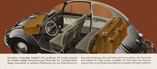 VW Käfer 1955