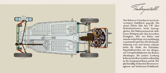 VW Käfer 1955