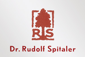 rs spitaler modelle