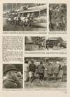 Die Woche Heft 40 1931