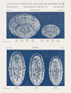 Porzellan-Manufaktur Meissen Katalog 1953